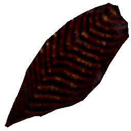 burnt-darkwater-fish-filet