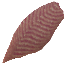 cooked-darkwater-fish-filet
