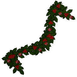 holly