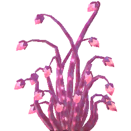 pink-antelight