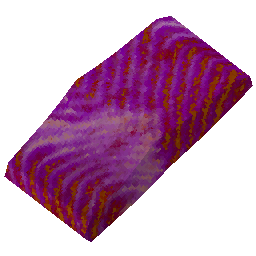 raw-inkfish-filet