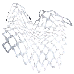 throw-net