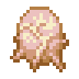 cocoon
