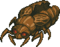 colossal-cicada-husk