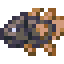 elder-dragonfish