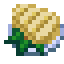 fillet