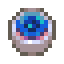 giant-squid-eye