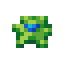glow-tulip-seed