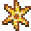 golden-starfish