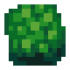 grass-ground