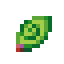 heart-berry-seed