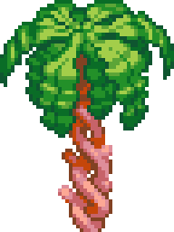 kelp-tree