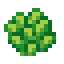 land-algae