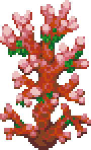 large-crimson-coral
