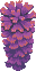 large-dish-coral