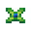 pinegrapple-seed