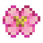 pink-cherry-blossom