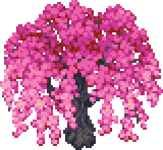 pink-cherry-tree