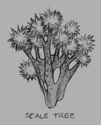 plume-tree