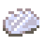 polished-shell