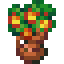 potted-bloom-tree