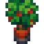 potted-tree-with-red-envelopes