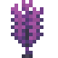 purple-feather-tree