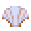 sea-shell