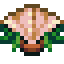 skirmisher-cap