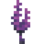 small-purple-feather-tree