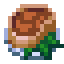 steak
