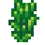 tall-land-algae