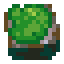 turf-ground