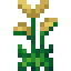 water-reed
