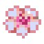 white-cherry-blossom