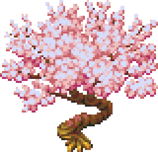 white-cherry-tree