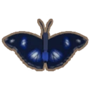 blue-moon-butterfly