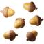 Tree seed
