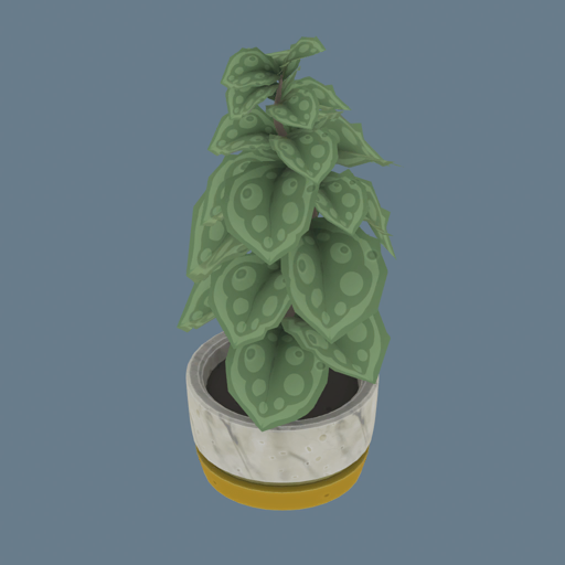 executive-office-plant