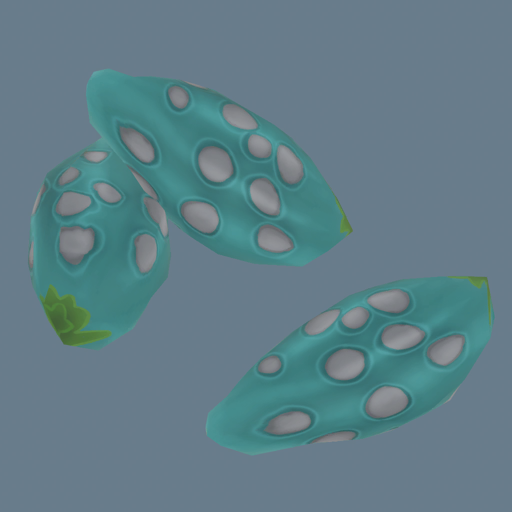 forest-seed-plants