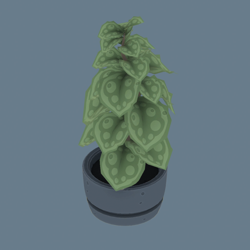 office-plant