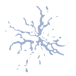 white-tree-dead