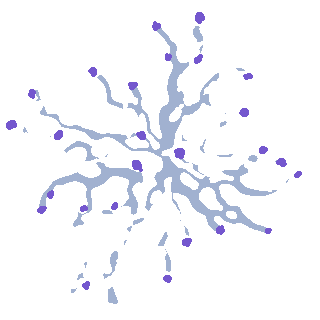 white-tree