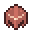 copper-helmet