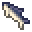 herring