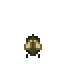 mosquito