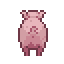 pig