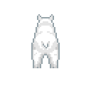 polar-bear