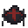 spider-hatchling