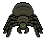 swamp-cave-spider